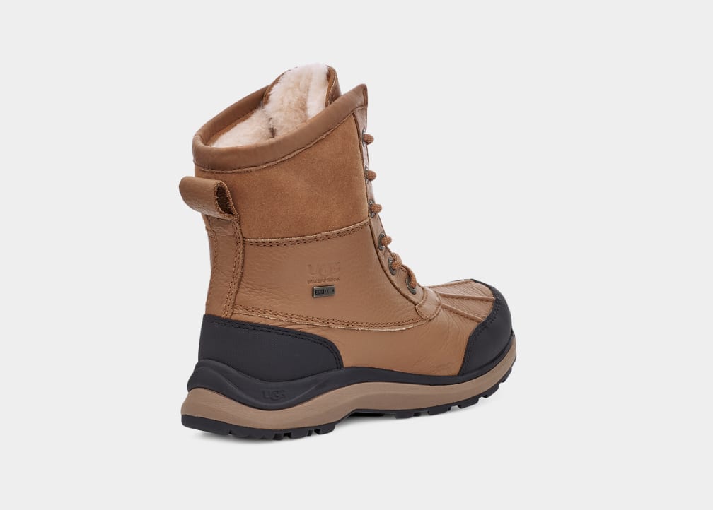 Brown Ugg Adirondack III Hiker Women Boots | 403258-NGM