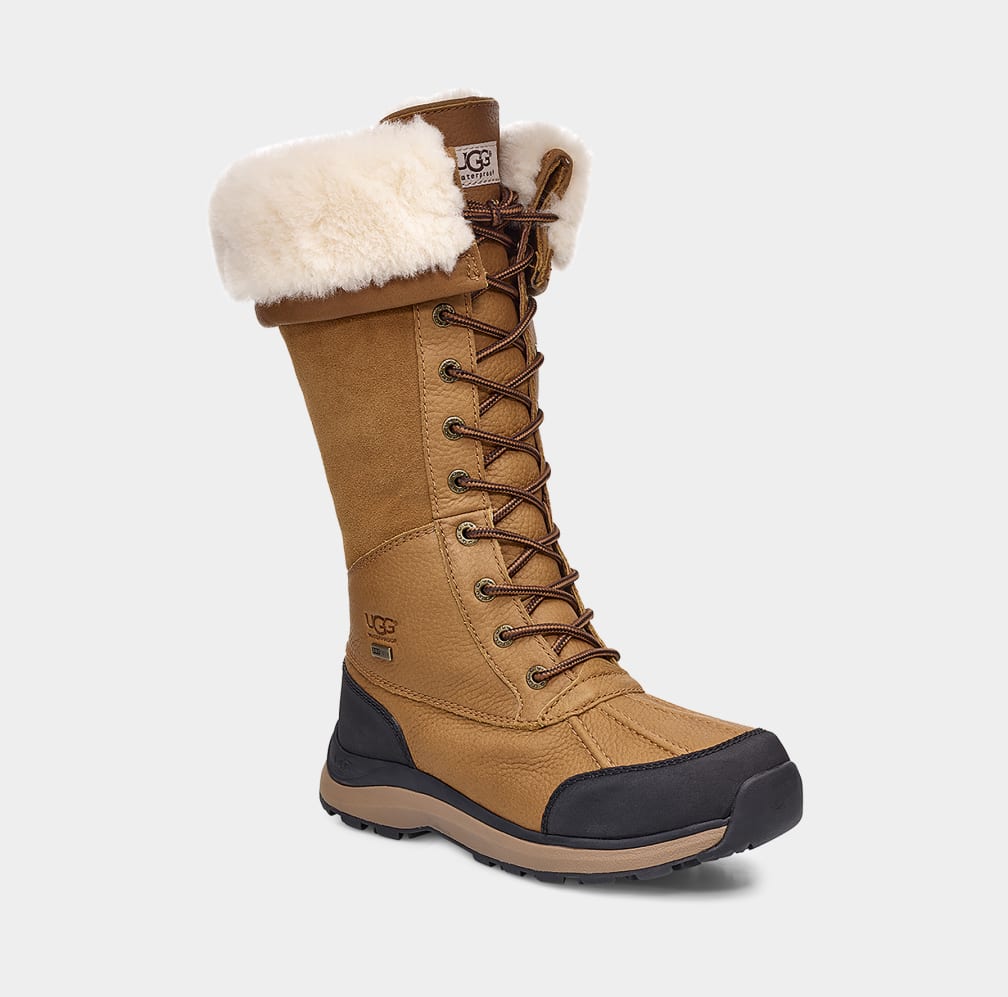 Brown Ugg Adirondack III Tall Women Boots | 491508-DBP