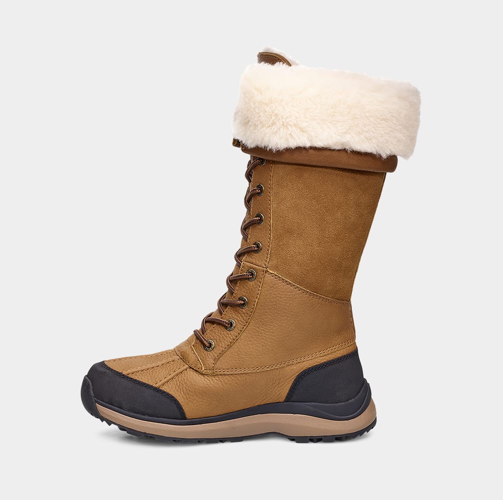 Brown Ugg Adirondack III Tall Women Boots | 491508-DBP