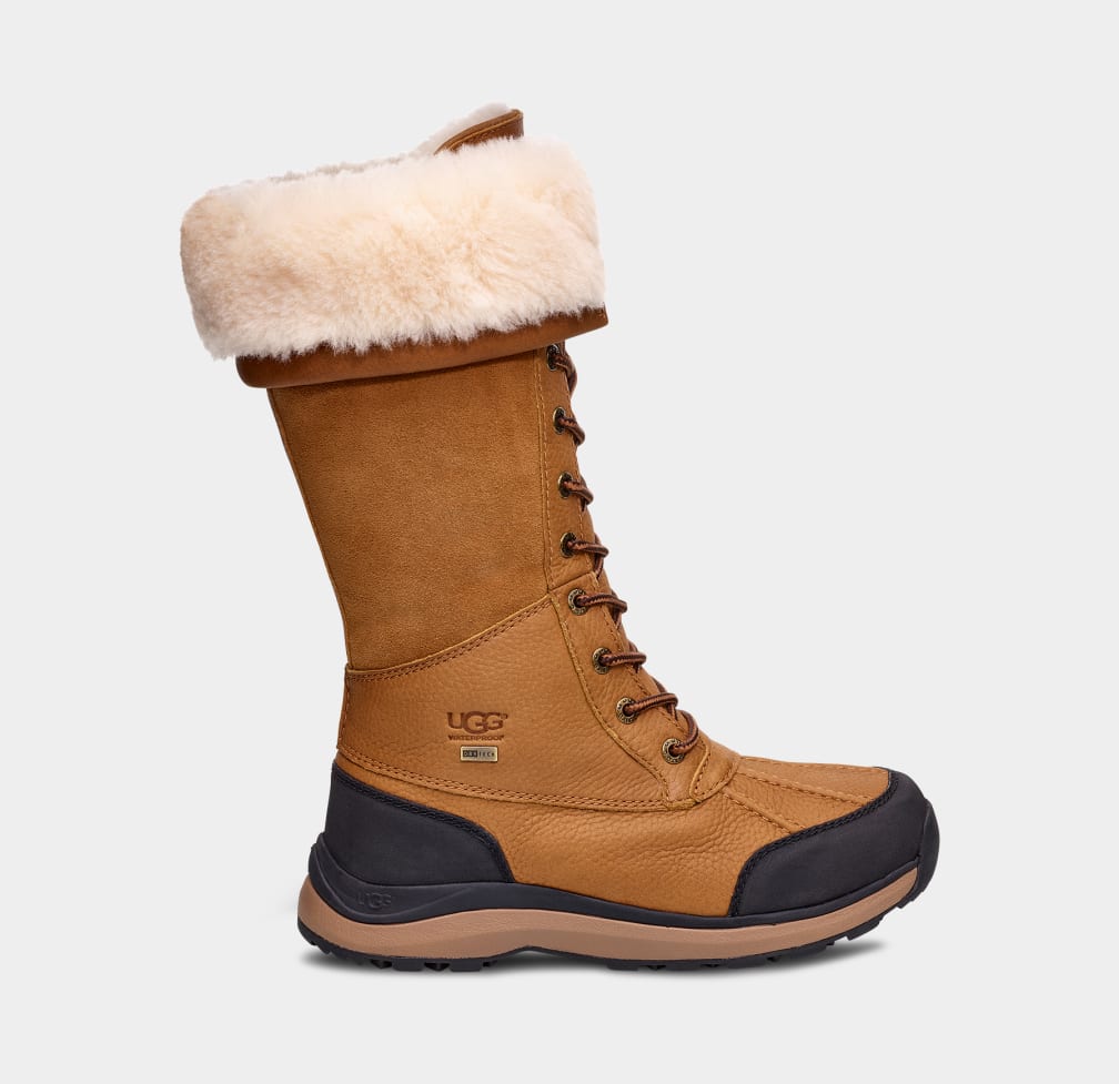 Brown Ugg Adirondack III Tall Women Boots | 491508-DBP