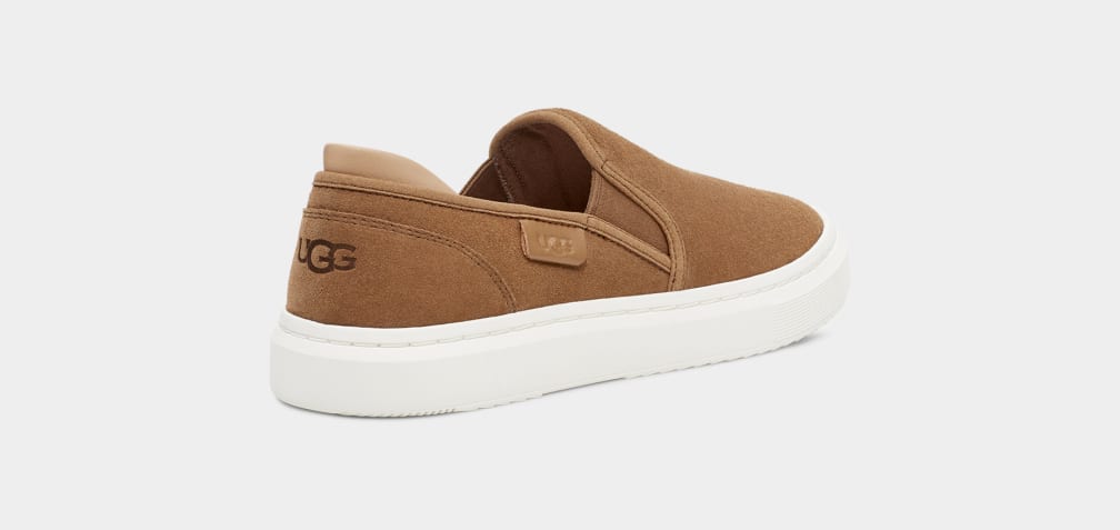 Brown Ugg Alameda Suede Women Slip On | 379102-MAU