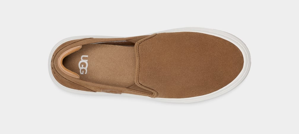 Brown Ugg Alameda Suede Women Slip On | 379102-MAU