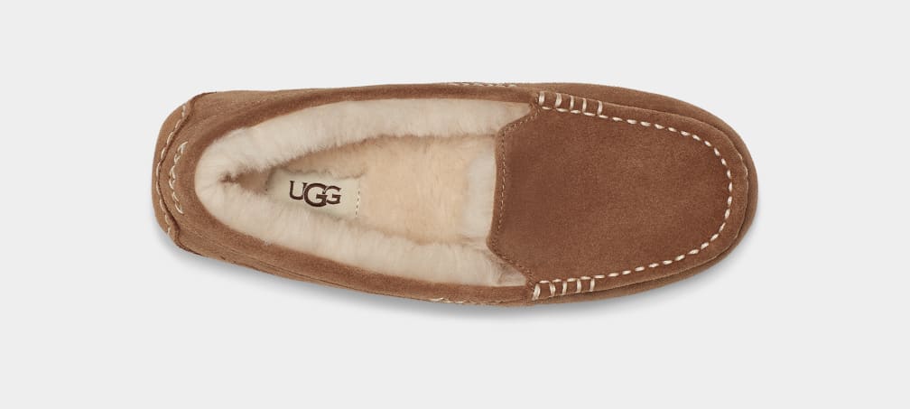 Brown Ugg Ansley Women Moccasins | 021467-LJV