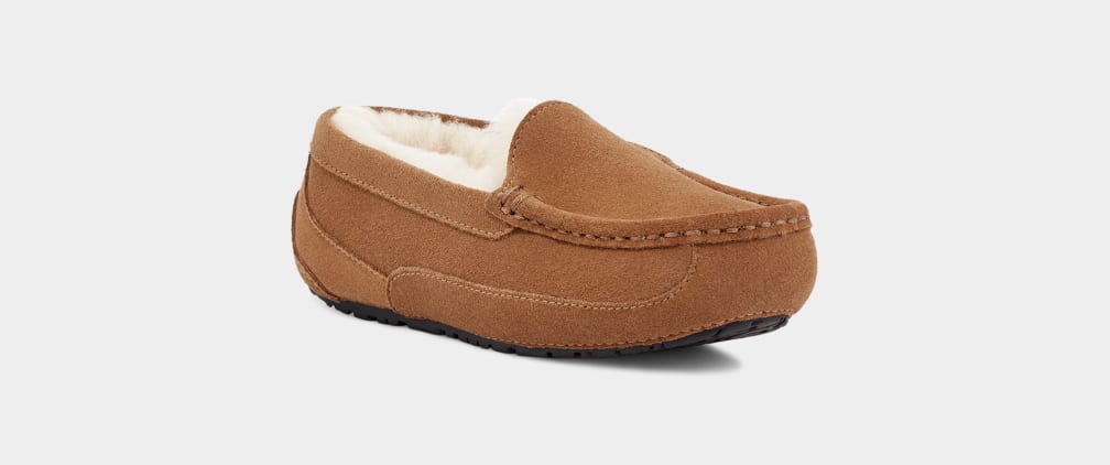 Brown Ugg Ascot Kids' Slippers | 263407-KBX