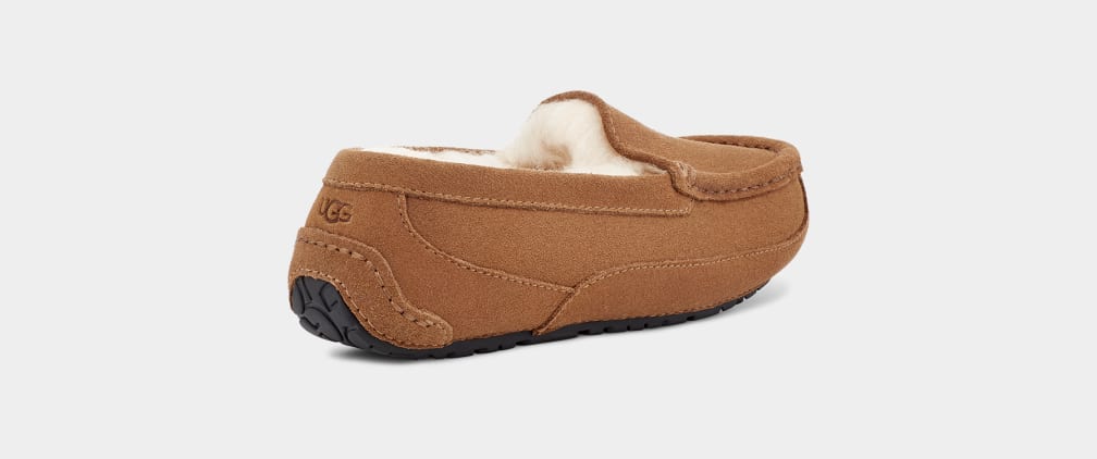 Brown Ugg Ascot Kids' Slippers | 263407-KBX