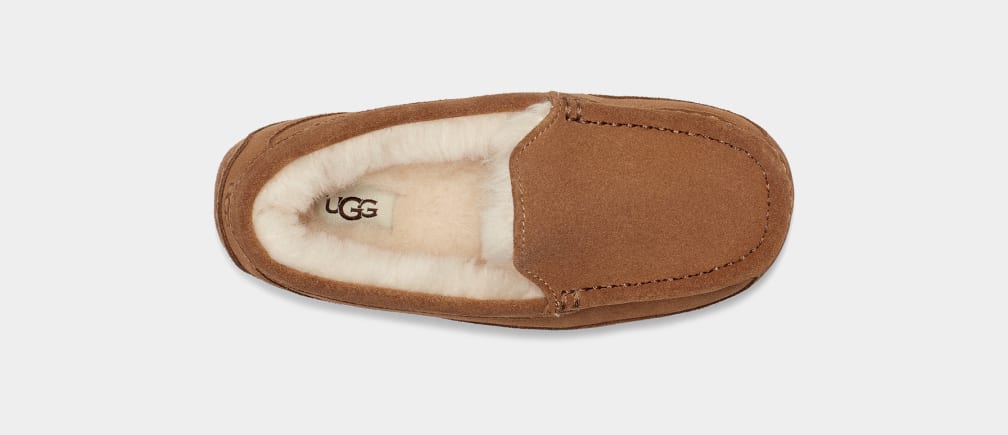 Brown Ugg Ascot Kids' Slippers | 263407-KBX