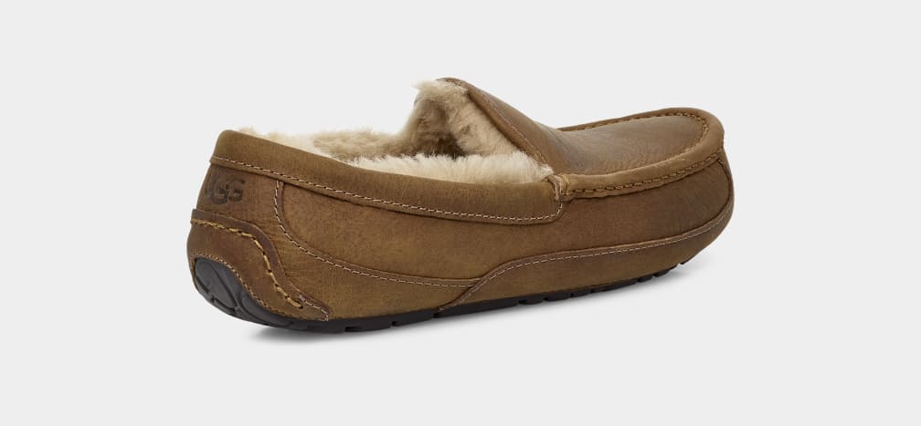 Brown Ugg Ascot Matte Leather Men Moccasins | 417263-CEQ