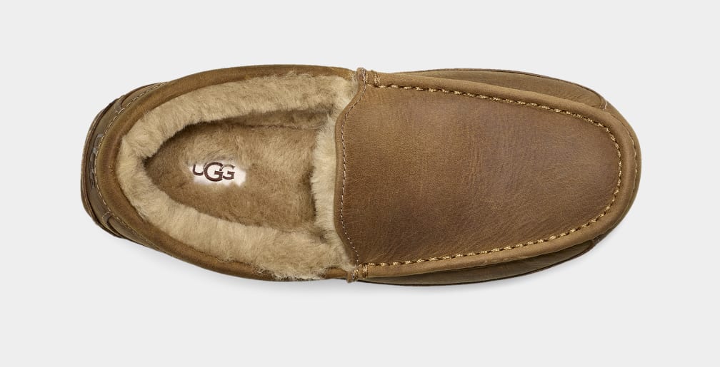 Brown Ugg Ascot Matte Leather Men Moccasins | 417263-CEQ