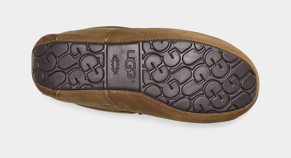 Brown Ugg Ascot Matte Leather Men Moccasins | 417263-CEQ