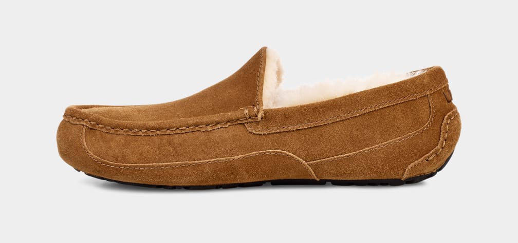 Brown Ugg Ascot Men Moccasins | 419783-UXQ