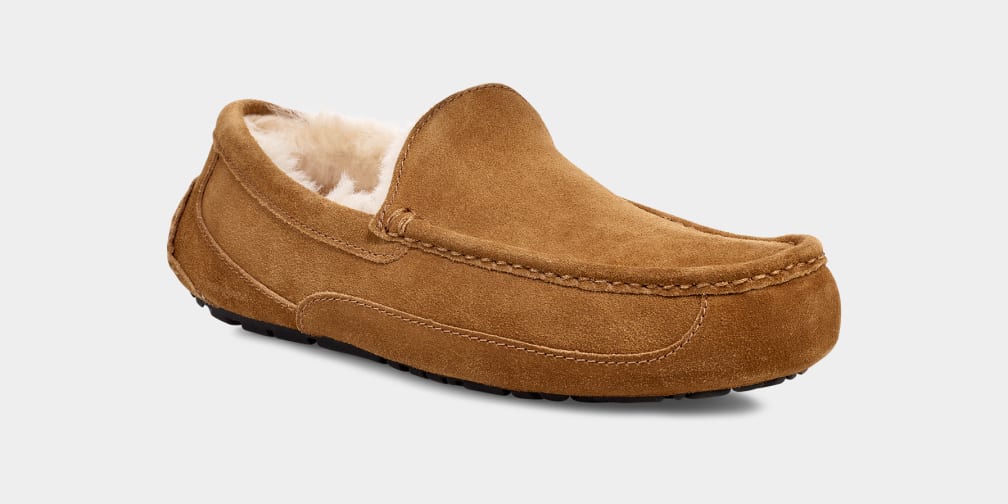 Brown Ugg Ascot Men Moccasins | 419783-UXQ