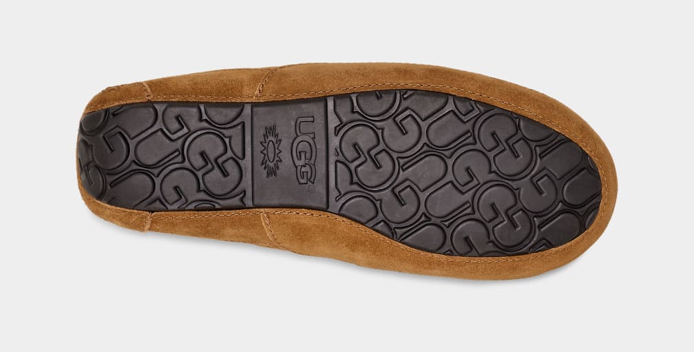 Brown Ugg Ascot Men Moccasins | 419783-UXQ