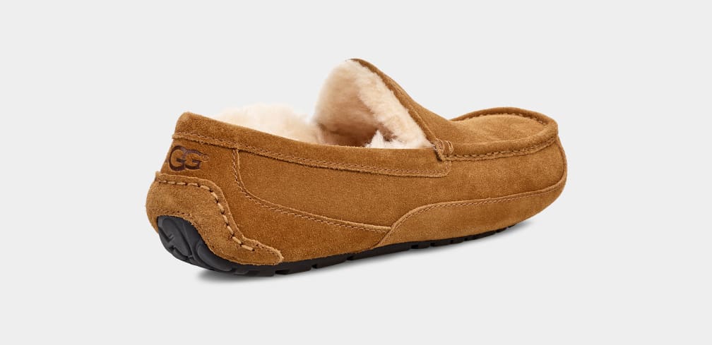 Brown Ugg Ascot Men Moccasins | 419783-UXQ