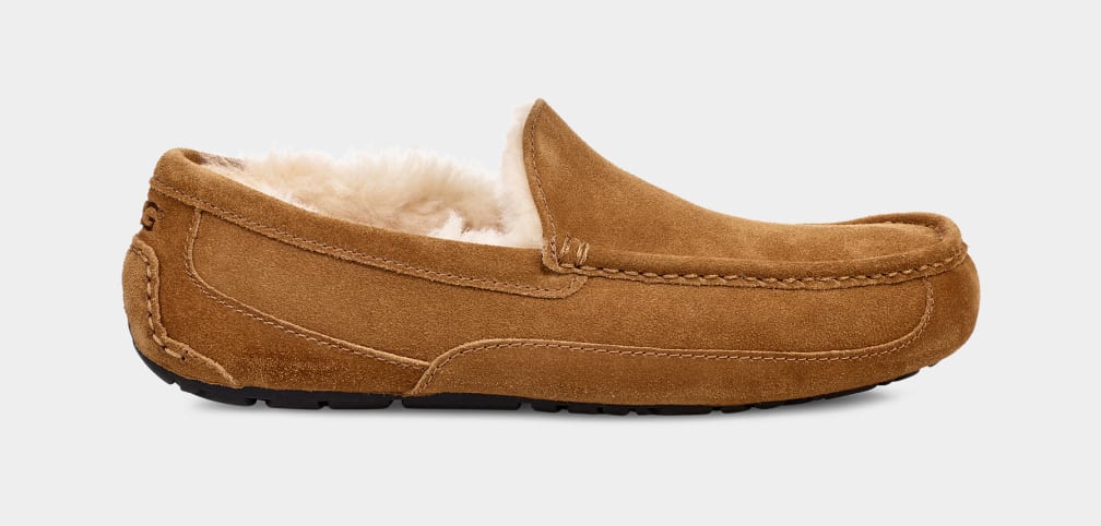 Brown Ugg Ascot Men Moccasins | 419783-UXQ