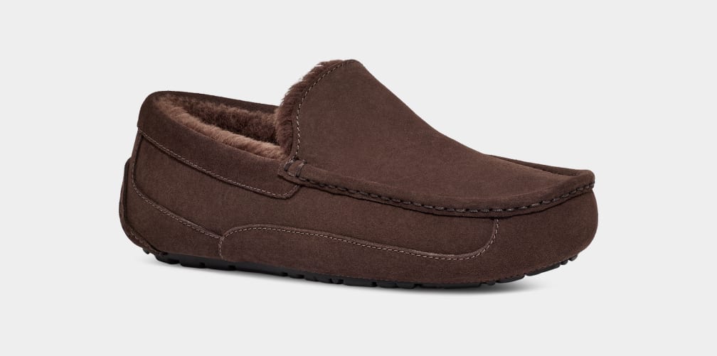 Brown Ugg Ascot Men Moccasins | 840519-JNC