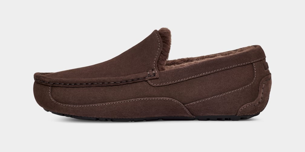 Brown Ugg Ascot Men Moccasins | 840519-JNC