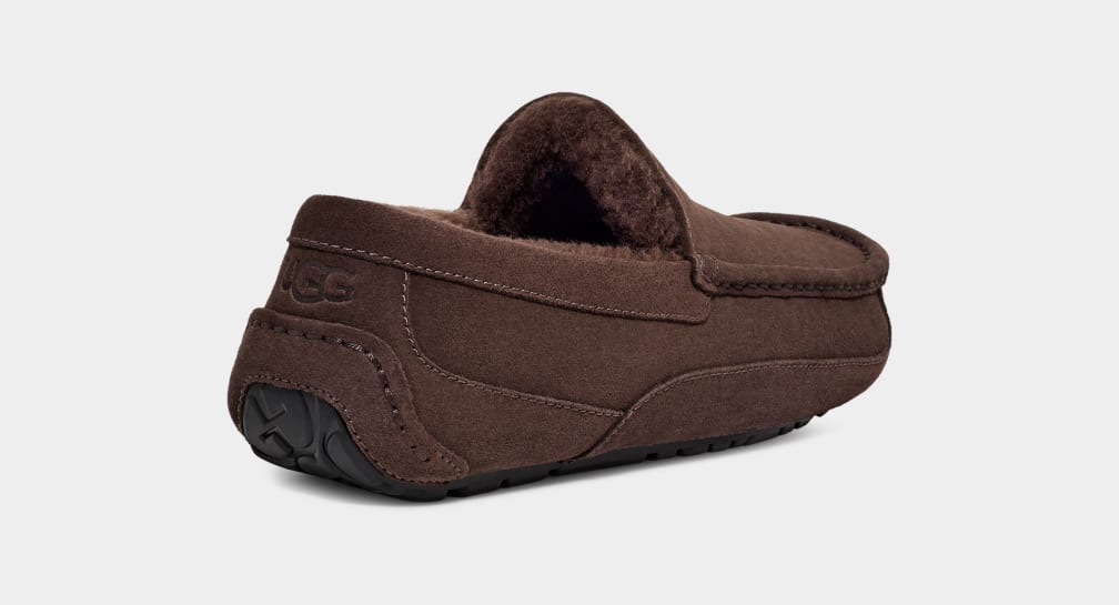 Brown Ugg Ascot Men Moccasins | 840519-JNC