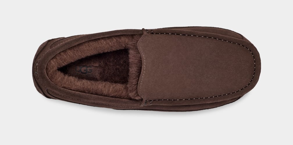 Brown Ugg Ascot Men Moccasins | 840519-JNC