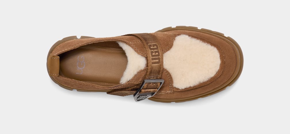 Brown Ugg Ashton Suede Women Clogs | 150294-JVG