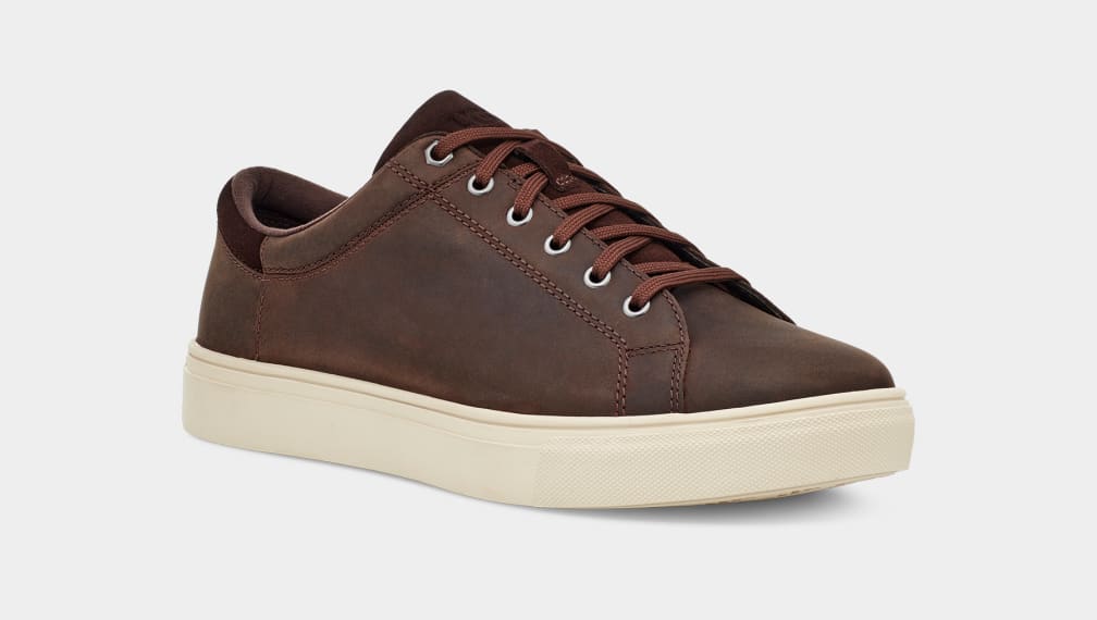 Brown Ugg Baysider Low Weather Men Sneakers | 078964-SFU