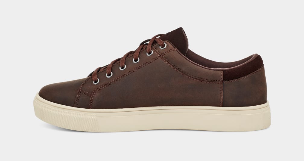 Brown Ugg Baysider Low Weather Men Sneakers | 078964-SFU