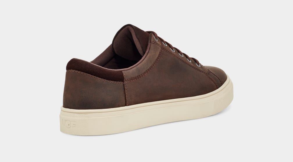 Brown Ugg Baysider Low Weather Men Sneakers | 078964-SFU