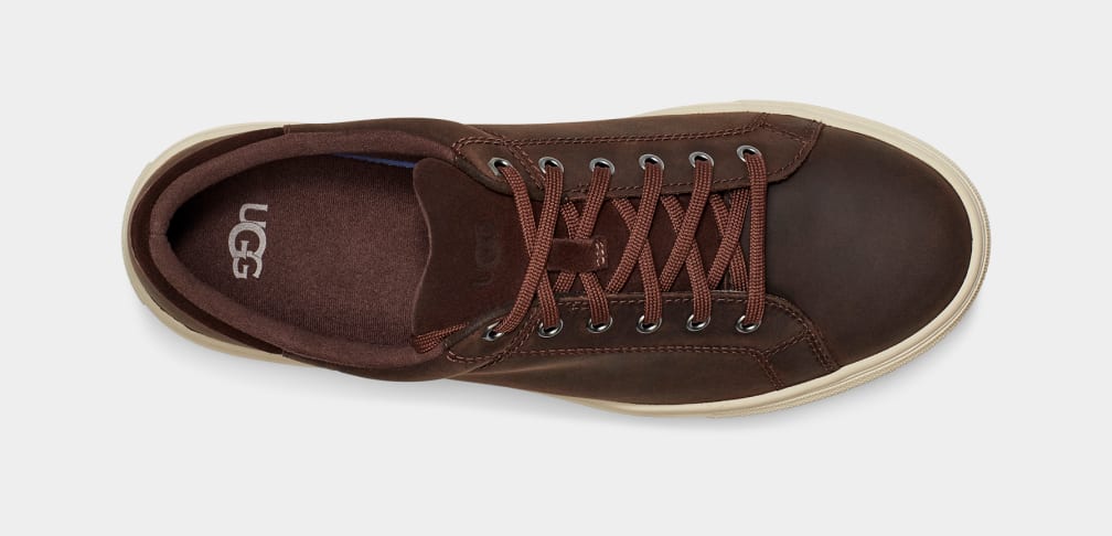 Brown Ugg Baysider Low Weather Men Sneakers | 078964-SFU