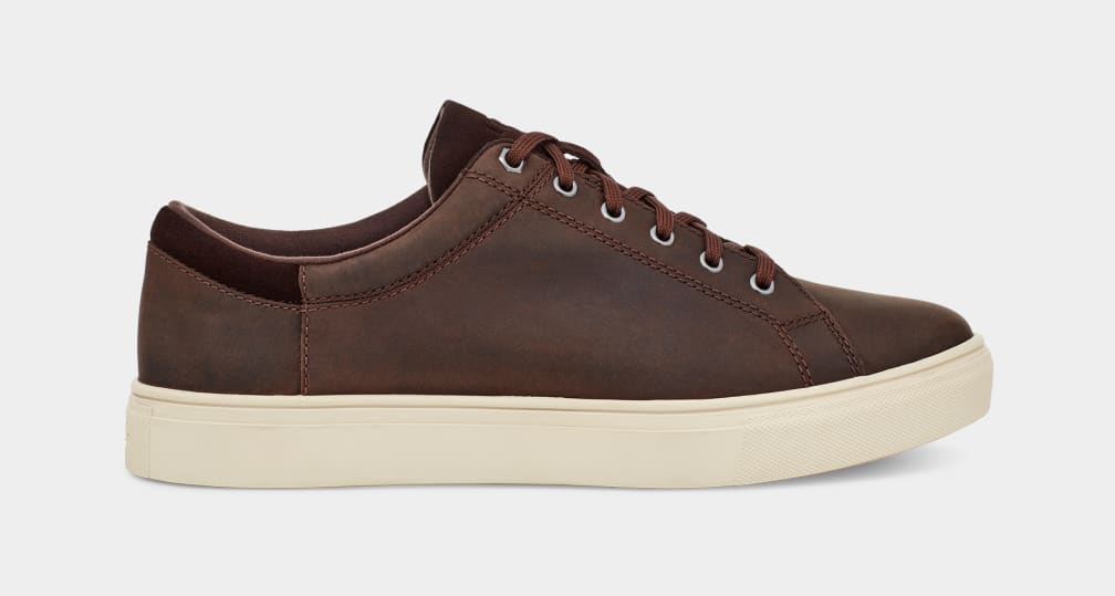 Brown Ugg Baysider Low Weather Men Sneakers | 078964-SFU