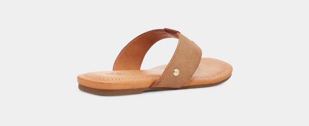 Brown Ugg Carey Flip Suede Women Slides | 895437-BRY