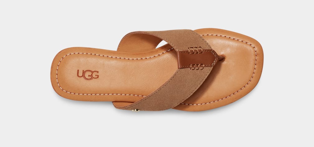 Brown Ugg Carey Flip Suede Women Slides | 895437-BRY