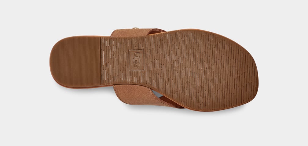 Brown Ugg Carey Flip Suede Women Slides | 895437-BRY