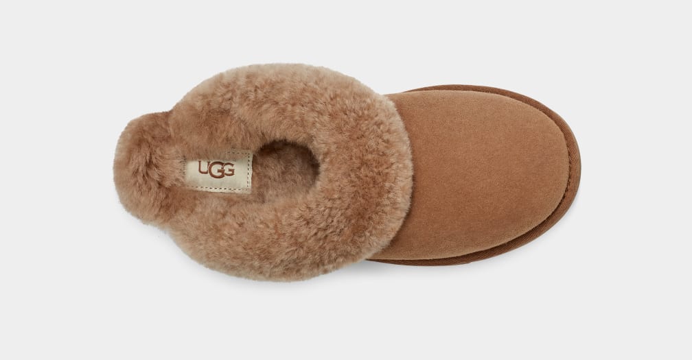 Brown Ugg Classic II Women Slippers | 548309-ZVD