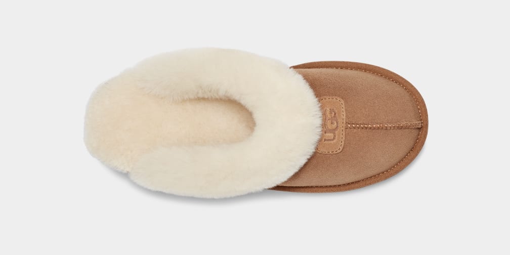 Brown Ugg Coquette Women Slippers | 470291-GUM