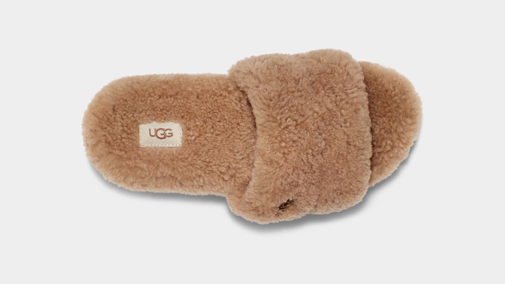 Brown Ugg Cozetta Curly Women Slippers | 392458-MJH