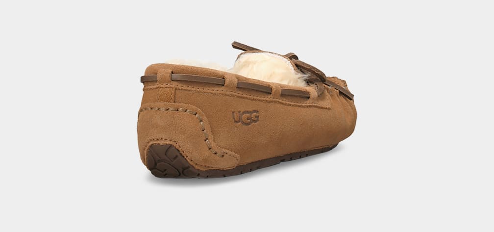 Brown Ugg Dakota Kids' Slippers | 536107-KDY