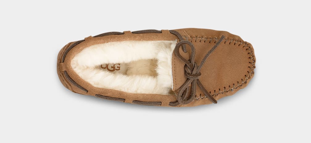 Brown Ugg Dakota Kids' Slippers | 536107-KDY