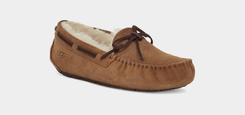 Brown Ugg Dakota Women Moccasins | 098154-UBZ