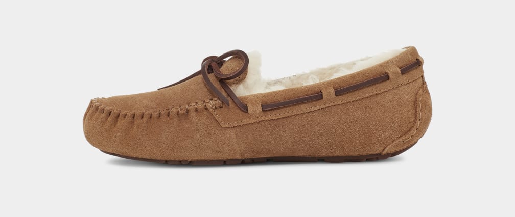 Brown Ugg Dakota Women Moccasins | 098154-UBZ