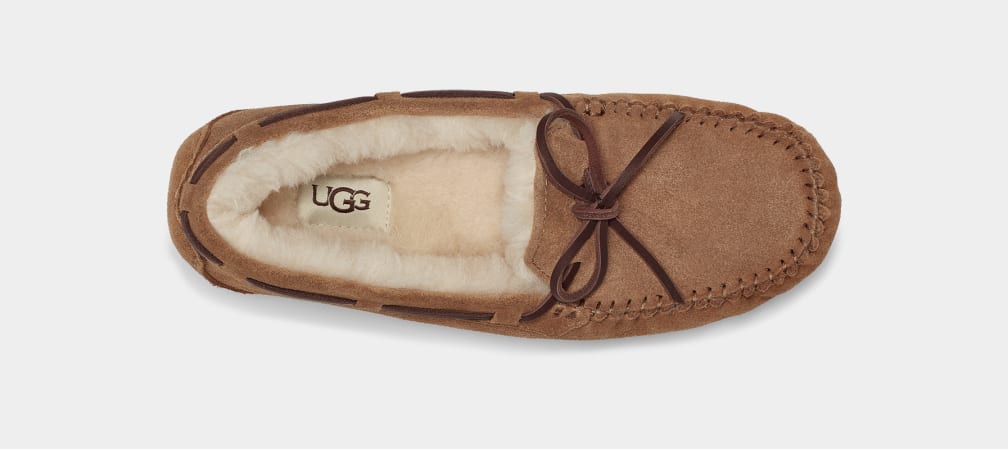 Brown Ugg Dakota Women Moccasins | 098154-UBZ