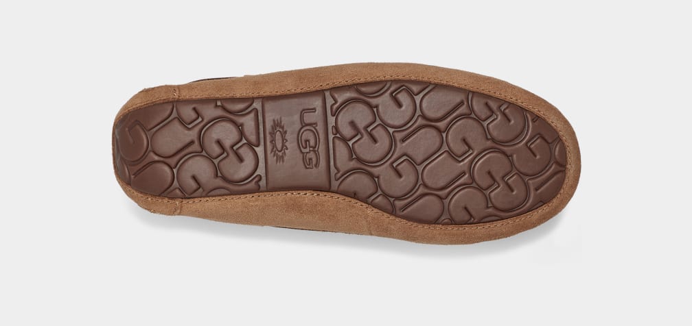 Brown Ugg Dakota Women Moccasins | 098154-UBZ