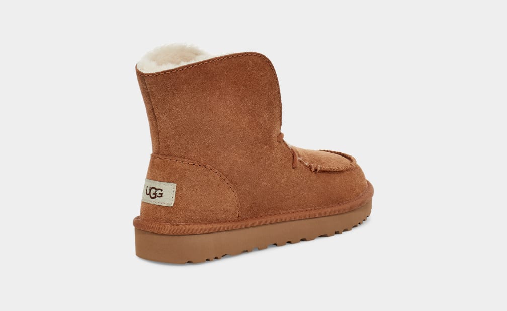 Brown Ugg Diara Women Boots | 519640-BLU