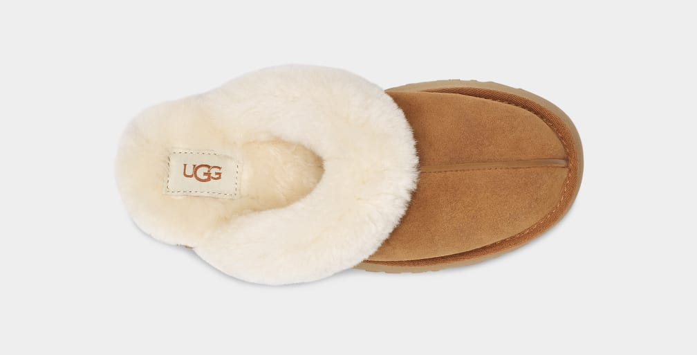 Brown Ugg Disquette Women Slippers | 546983-HXE