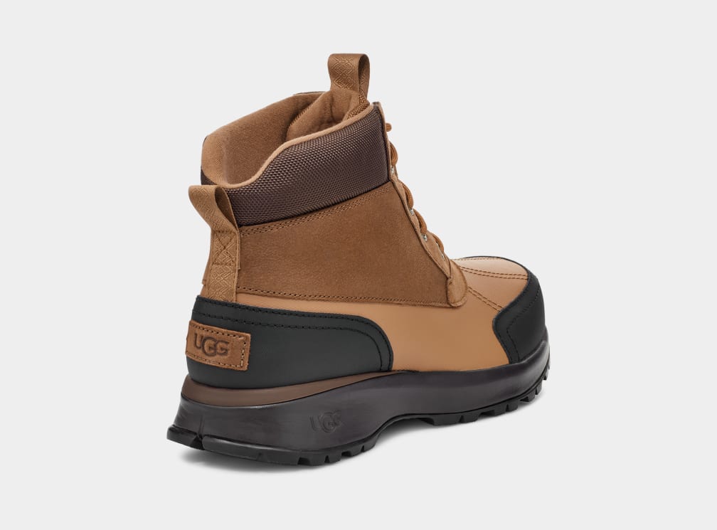 Brown Ugg Emmett Duck Men Boots | 196834-IPM