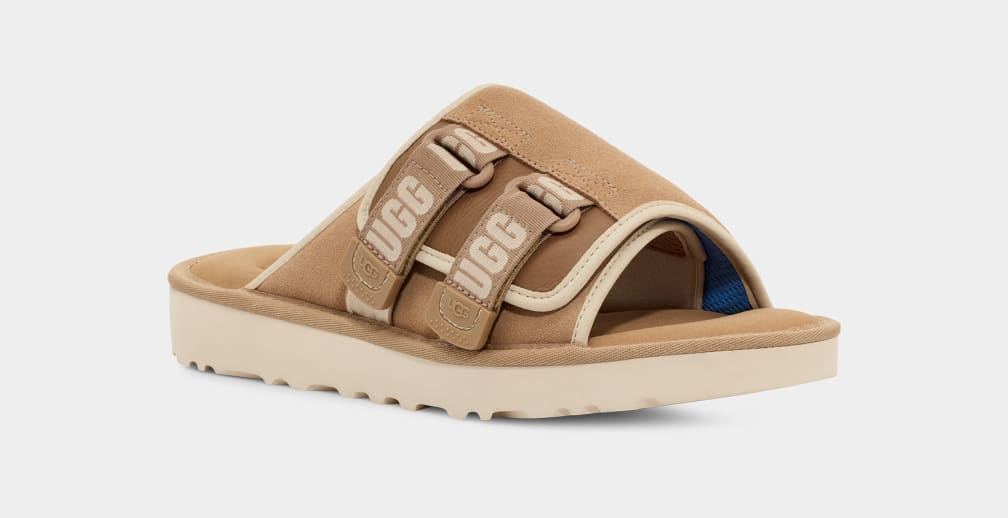 Brown Ugg Goldencoast Strap Men Slides | 312807-IJX