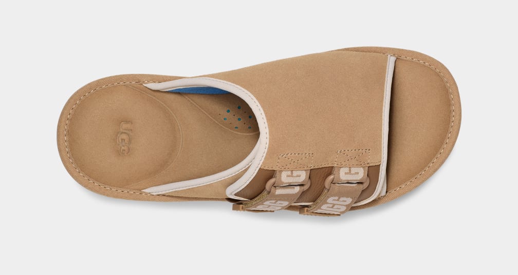 Brown Ugg Goldencoast Strap Men Slides | 312807-IJX