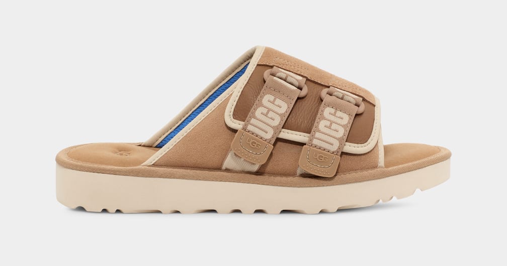 Brown Ugg Goldencoast Strap Men Slides | 312807-IJX