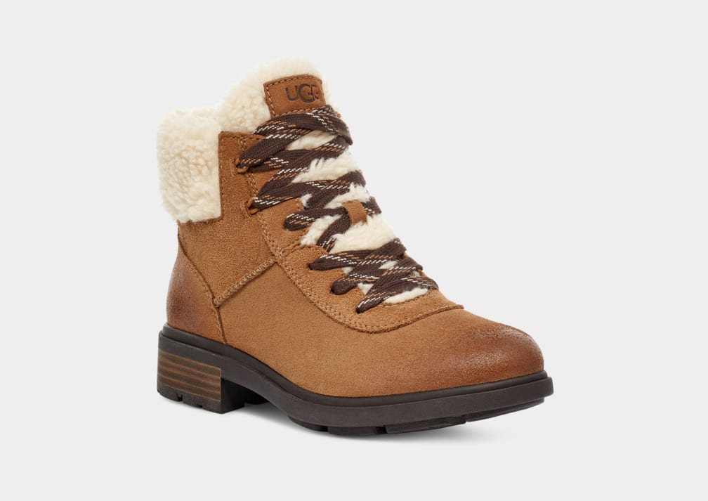 Brown Ugg Harrison Cozy Lace Women Boots | 065328-LYF