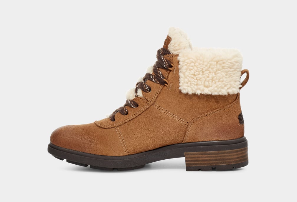 Brown Ugg Harrison Cozy Lace Women Boots | 065328-LYF