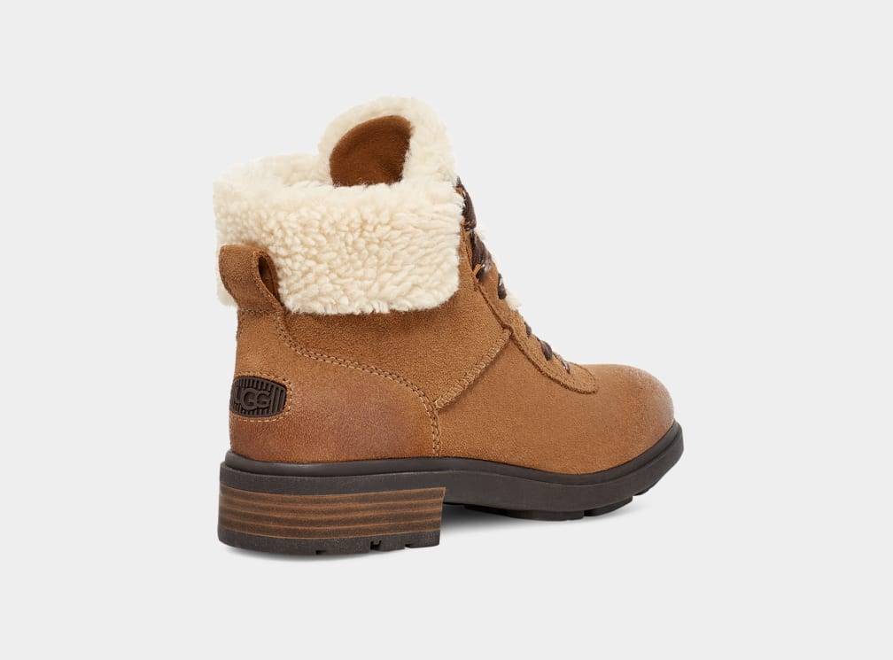 Brown Ugg Harrison Cozy Lace Women Boots | 065328-LYF