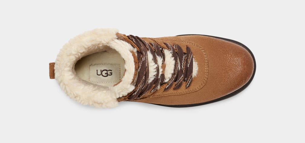 Brown Ugg Harrison Cozy Lace Women Boots | 065328-LYF